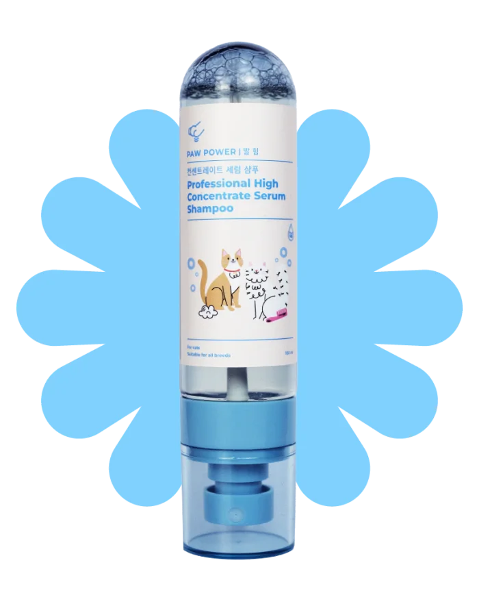 Serum Shampoo Kucing