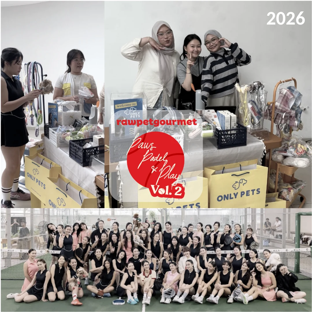 Paws Padel & Play Vol. 2 bersama Paw Power