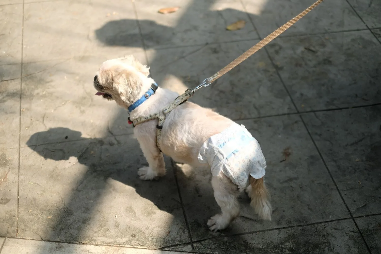 Travel Diapers — foto 3