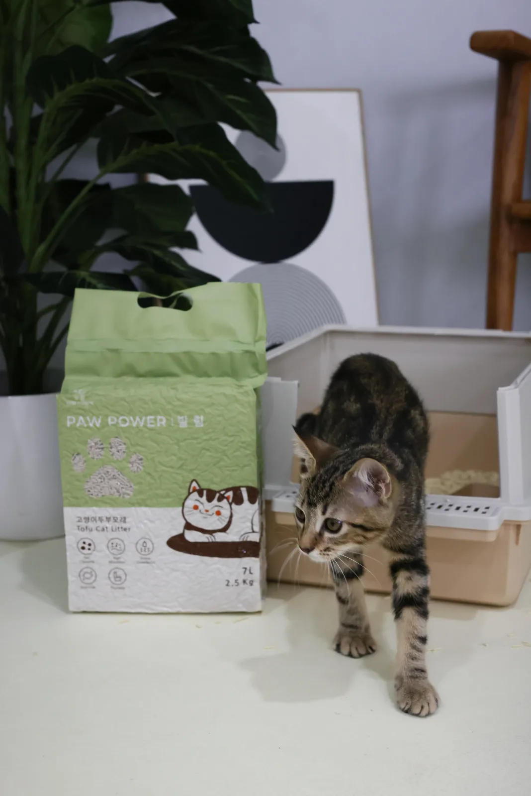 Tofu Cat Litter — foto 6