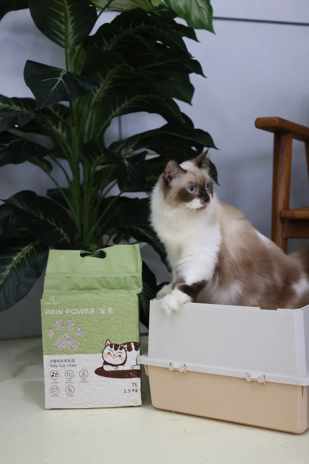 Tofu Cat Litter — foto 7