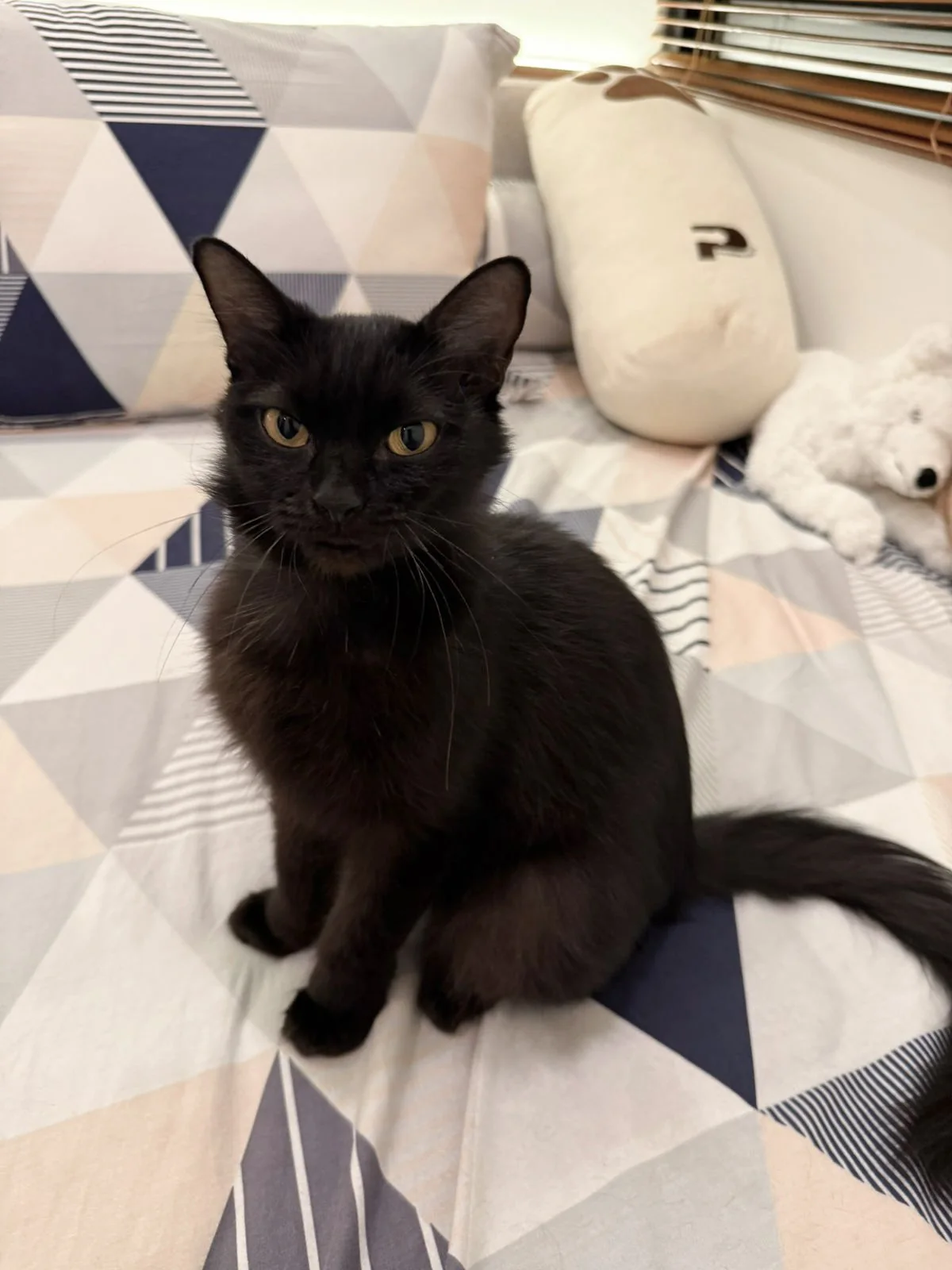 Luna di rumah