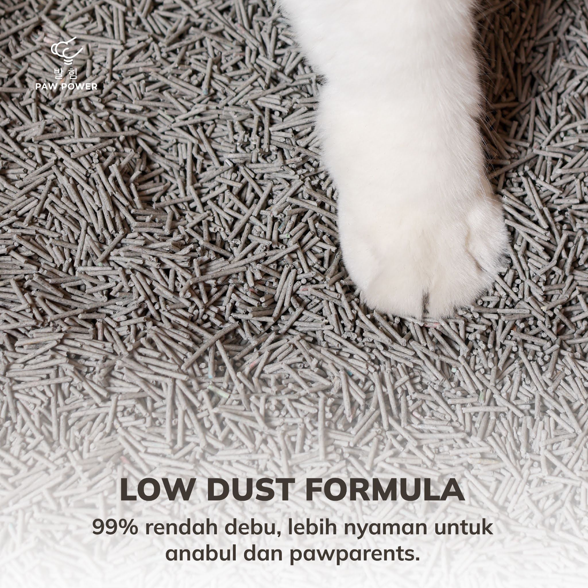 Kelebihan pasir tofu untuk kucing indoor