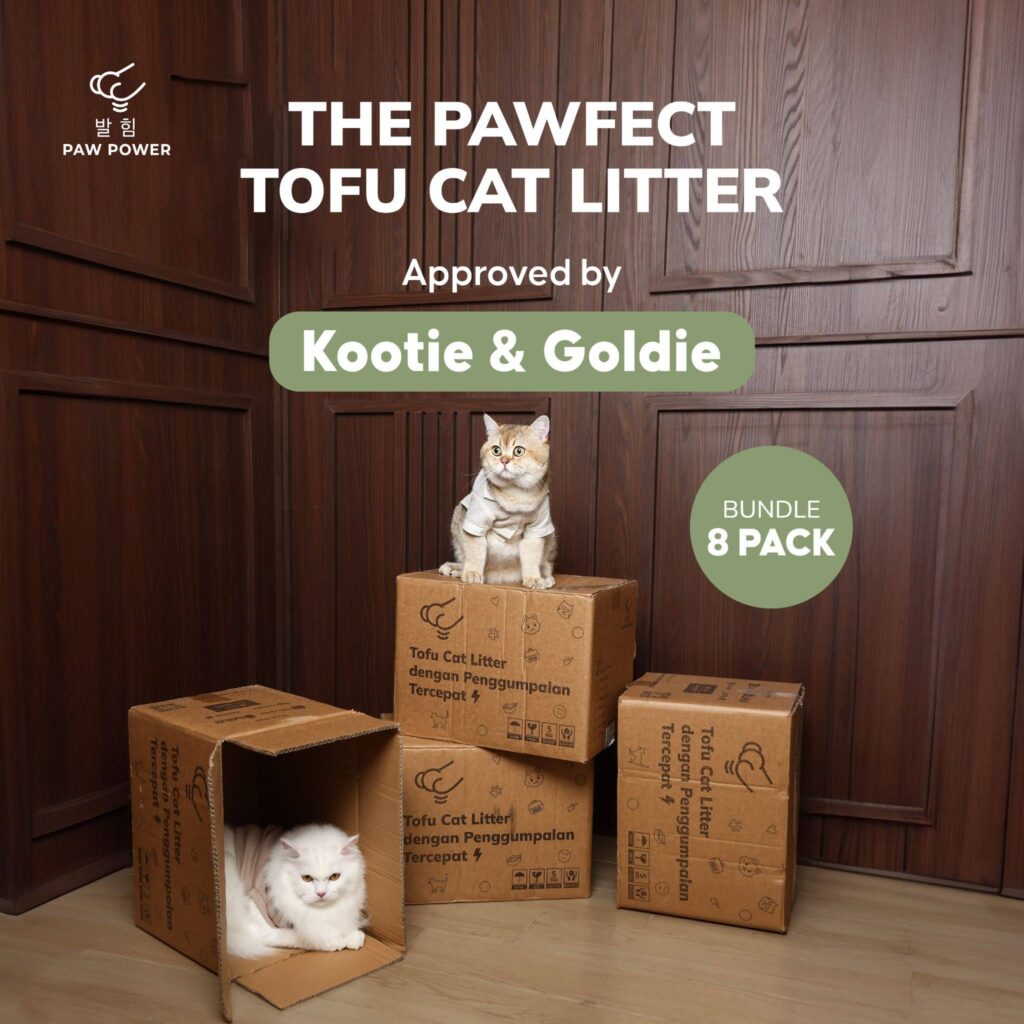 Paw Power Tofu Cat Litter sebagai pasir kucing anti bau untuk rumah indoor