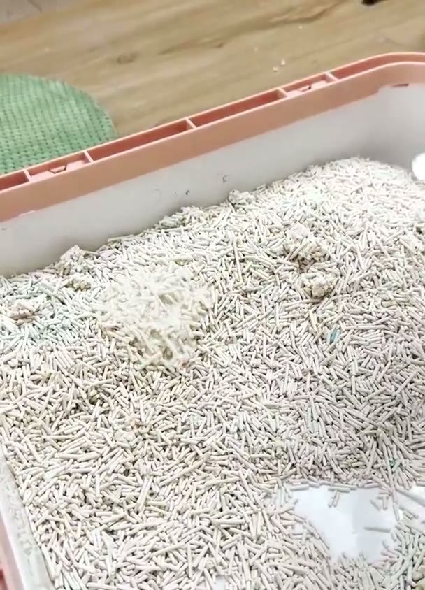 Butiran pasir kucing tofu Paw Power di litter box, dengan satu bagian yang mulai menggumpal setelah terkena cairan