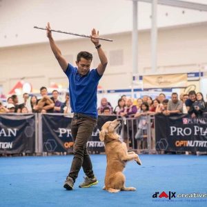 Jody_Dog Trainer